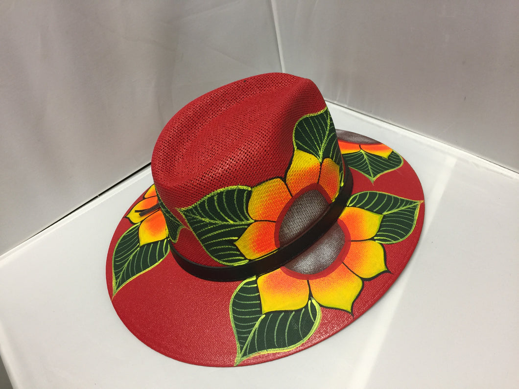 Hand painted Hat/ Sombrero